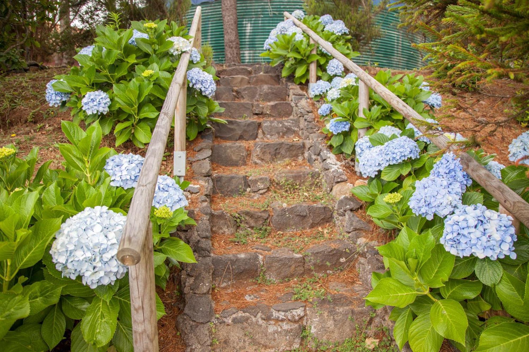Quinta Do Santo By Lovelystay Santo Antonio da Serra Extérieur photo