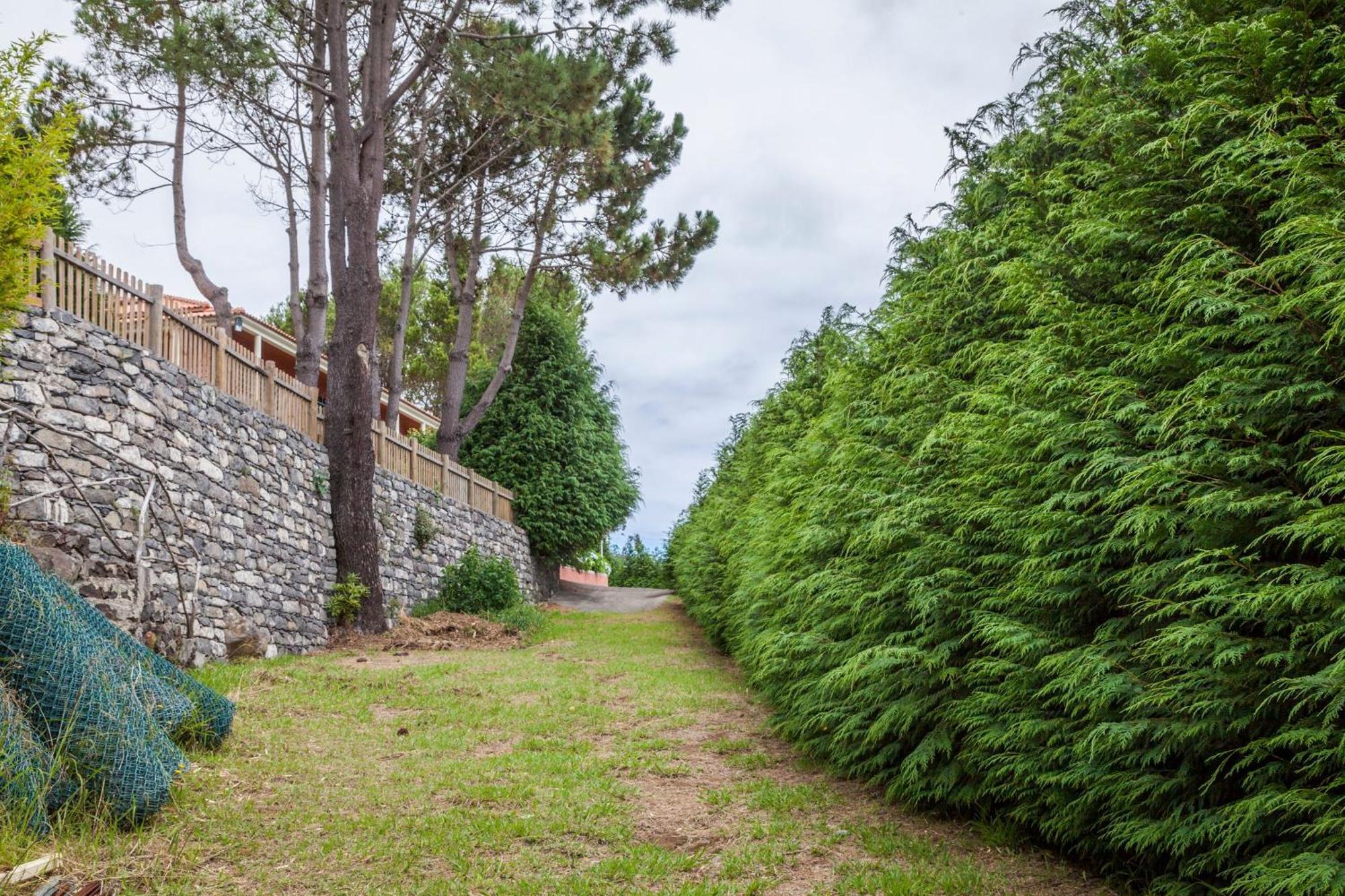Quinta Do Santo By Lovelystay Santo Antonio da Serra Extérieur photo